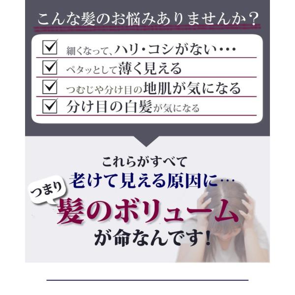 ふんわりマダム ボリュームアップ スタイリング剤 自然 ナチュラル 薄毛 白髪 髪やせ テレビ通販 Buyee Buyee Japanese Proxy Service Buy From Japan Bot Online
