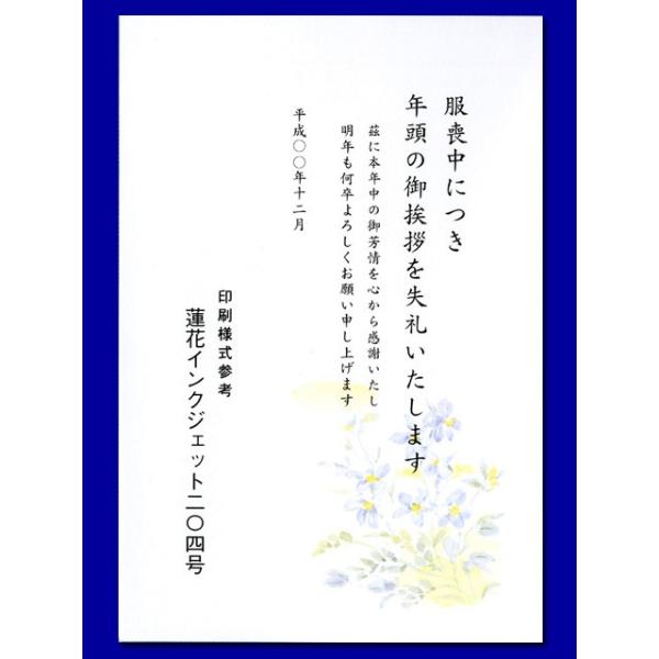 r͂/CNWFbgu݂E204v/100(n11204)