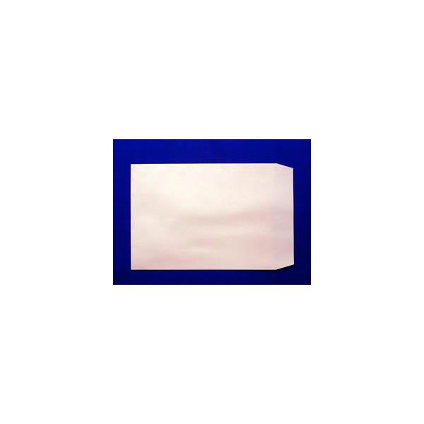 pA4 \tgsN 100g L\ 500