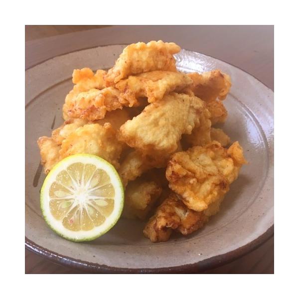 お中元 大分名物とり天セット 本場とり天 とり天 鶏天ぷら 鶏天 大分名物 揚げもの ギフト