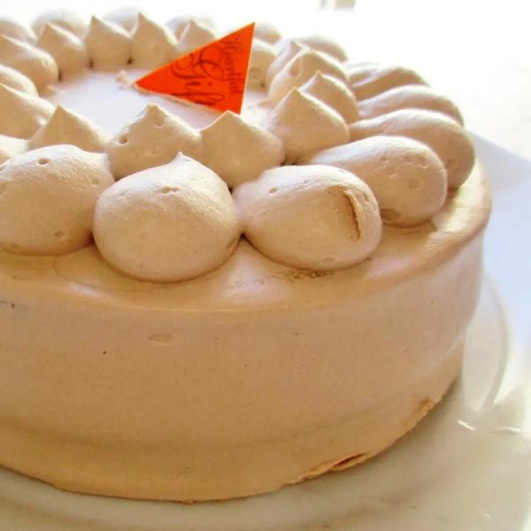母の日 卒業祝 入学祝 たんぱく質を控えた冷凍ケーキチョコレートケーキ5号 優しい美味しさ 植物性クリーム 腎臓病対応 低たんぱく質 絶品 菓子工房HOCCO
