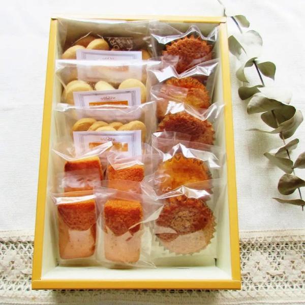 母の日 卒業祝 入学祝 たんぱく質を控えたお菓子ギフトB 優しい美味しさ 腎臓病対応 低たんぱく質 御歳暮 お中元 絶品 菓子工房HOCCO