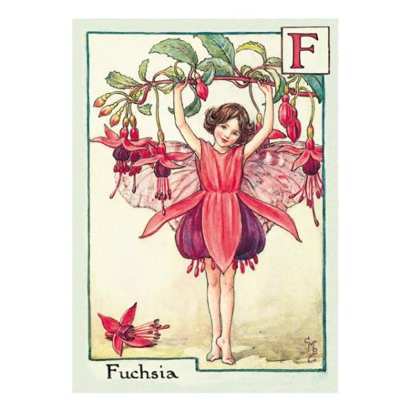 フラワーフェアリーズ ポストカード<Fuchsia Fairy> : チューリップ
