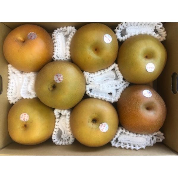 「秋月梨」は、その名の通り秋に旬を迎える梨で、丸みを帯びた美しい形と赤みがかった果皮が特徴です。シャリシャリとした食感と、驚くほどの甘さが魅力で、酸味がほとんどなく、すっきりとした後味が楽しめます。果汁もたっぷりで、一口食べればジューシーな...