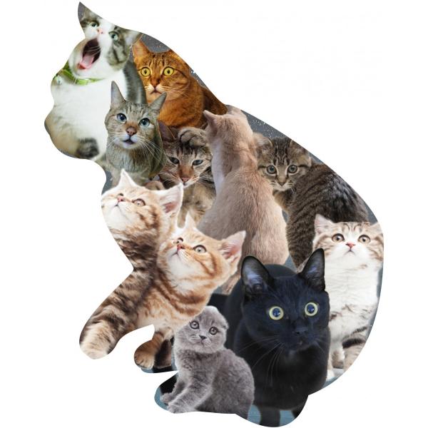 メール便 送料無料 猫 ｔシャツ おもしろ かわいい ポーズ 行動 コラージュ 画像 猫キャラクター Tシャツ レディース メンズ 7 Buyee 日本代购平台 产品购物网站大全 Buyee一站式代购 Bot Online