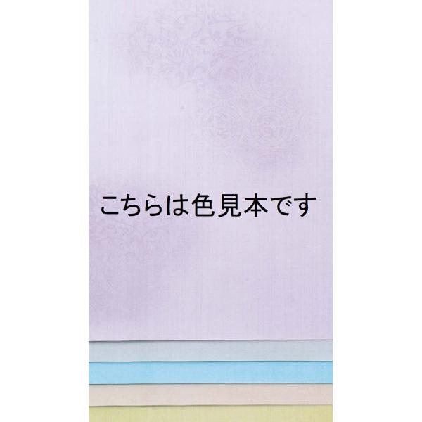 ●入数：50枚（5柄 各10枚）●サイズ：半懐紙 250×364mm●機械漉き