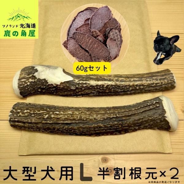 大型犬用 鹿の角 Lサイズ半割2本セット×鹿シャーキー60gセット ガジガジくん 犬のおもちゃ