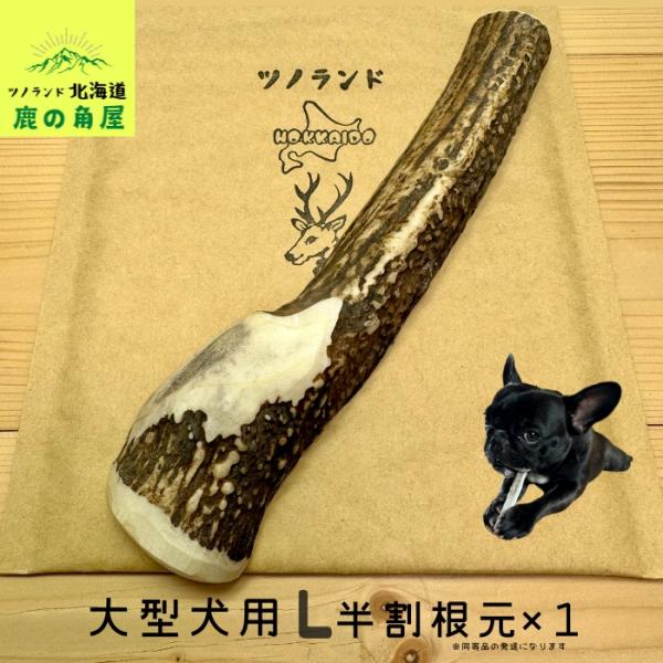 ご覧頂きありがとうございます。こちらの商品はLサイズ半割1本です。大〜超大型のワンちゃん用になります。根元部分のみを使用していますので迫力満点です！大切なワンちゃんが口にする物だからこそ新鮮なシカ角をあげたい、高品質でコスパの良い鹿ツノをお...