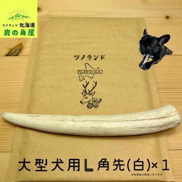 ご覧頂きありがとうございます。こちらの商品はLサイズ角先白1本です。大〜超大型のワンちゃん用になります。角の先端部分を使用し、お値段もお手頃ですのでお試しなどにおすすめです！この部位は好きなワンちゃんもたくさんいらっしゃいます！大切なワンち...
