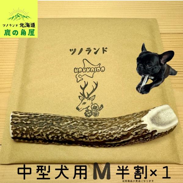 ご覧頂きありがとうございます。こちらの商品はMサイズ半割1本です。中〜大型のワンちゃん用になります。半割は食い付きが良く長持ちでオススメです！大切なワンちゃんが口にする物だからこそ新鮮なシカ角をあげたい、高品質でコスパの良い鹿ツノをお探しの...