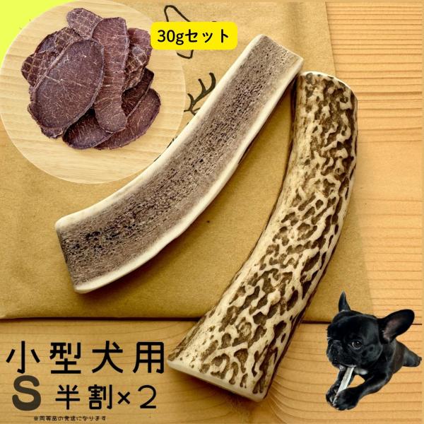 小型犬用 鹿の角 Sサイズ半割2本セット×鹿ジャーキー30gセット ガジガジくん 犬のおもちゃ