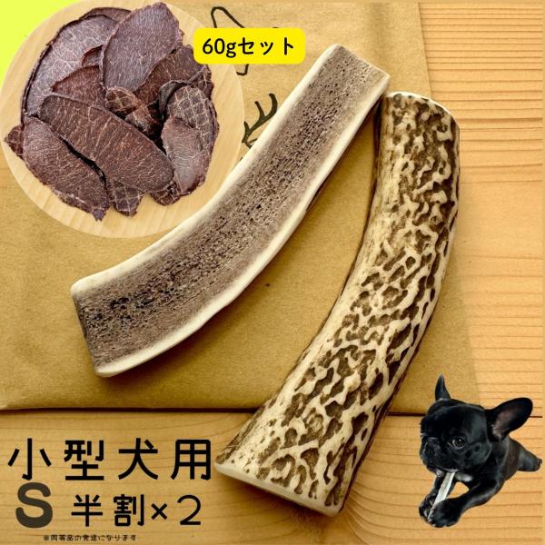小型犬用 鹿の角 Sサイズ半割2本セット×鹿ジャーキー60gセット ガジガジくん 犬のおもちゃ