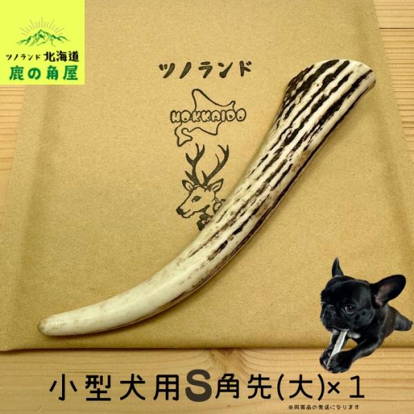 小型犬用 鹿の角 Sサイズ角先大1本 ガジガジくん 犬のおもちゃ