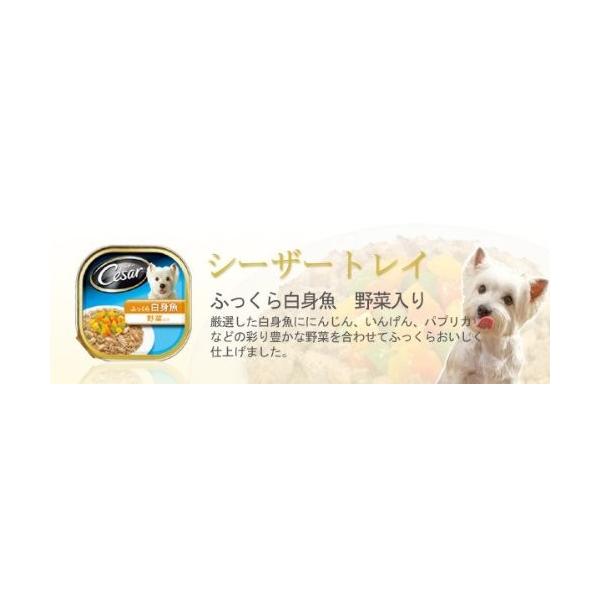 シーザー 成犬用 ふっくら白身魚 野菜入り100g 24個 まとめ買い ドッグフード ウェット Purrworld Com