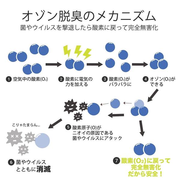 オゾン発生器 オゾンメイド 業務用 オゾン発生量1000mg Hr ホテル客室 車内 消臭 除菌 Kalaumat Fr