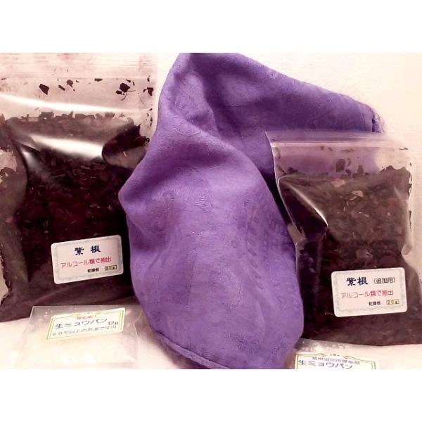 紫　むらさき　MURASAKI　ムラサキ　草木染　紫根　（20株　メルカリ便） 紫 むらさき MURASAKI ムラサキ 草木染 紫根 （20株 メルカリ便）