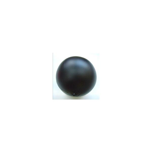 黒球　　（黒色球形形象物 ）