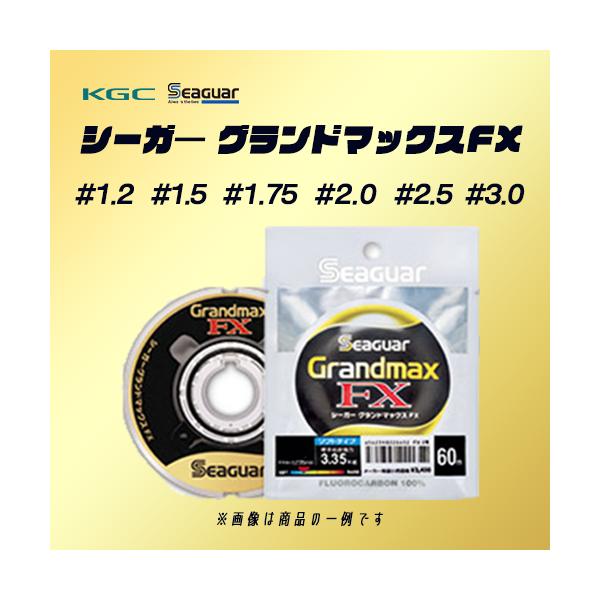 クレハ Seaguar シーガ― グランドマックスFX フロロカーボンハリス