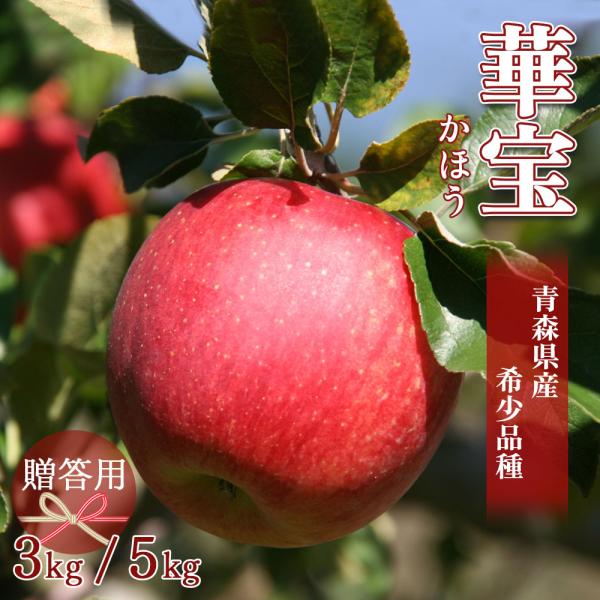 【希少品種】3ｋｇ 華宝 りんご 青森県産 リンゴ 2026年 贈答用