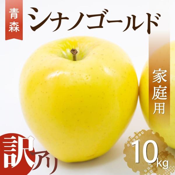 2025NYy ʌ zXY ƒp 󂠂 VimS[h 10kg i32ʁ`46ʓjYn H_