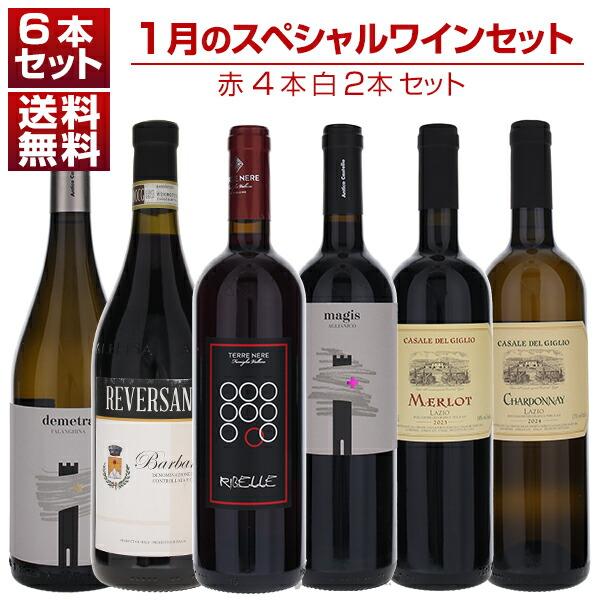 1本あたり2750円！1月のスペシャルワインセット赤4本白2本 (750ml×6