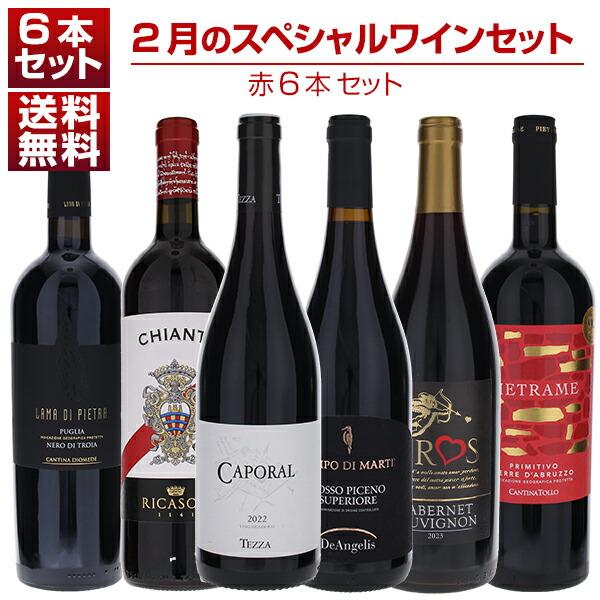 1本あたり1650円！2月のスペシャルワインセット赤6本 (750ml×6) 送料