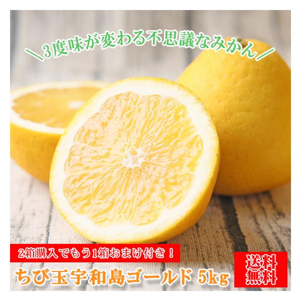 フレッシュ つちやま Yahoo ショッピング
