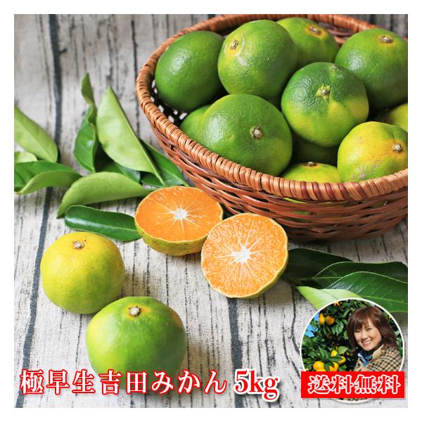 みかん 極早生 5kg f極05 家庭用 中玉 愛媛 吉田みかん 果物