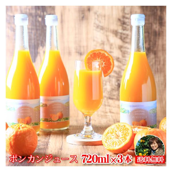 ポンカン 2枚目