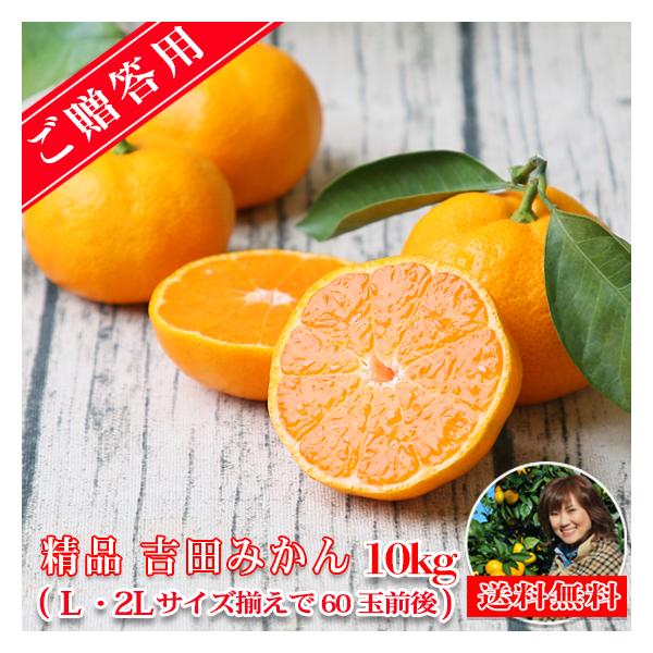 みかん 精品 吉田みかん 10kg S吉10 贈答用 精品 中玉 Lか2L