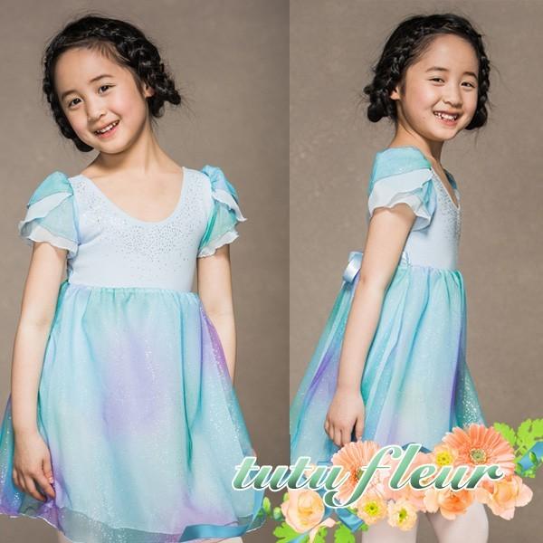 Bl 905 子供用 バレエレオタード エルサスノープリンセス ワンピース 半袖 シフォンスカート付 子ども用 キッズレオタード レッスン着 ダンス 新体操 Buyee 日本代购平台 产品购物网站大全 Buyee一站式代购 Bot Online