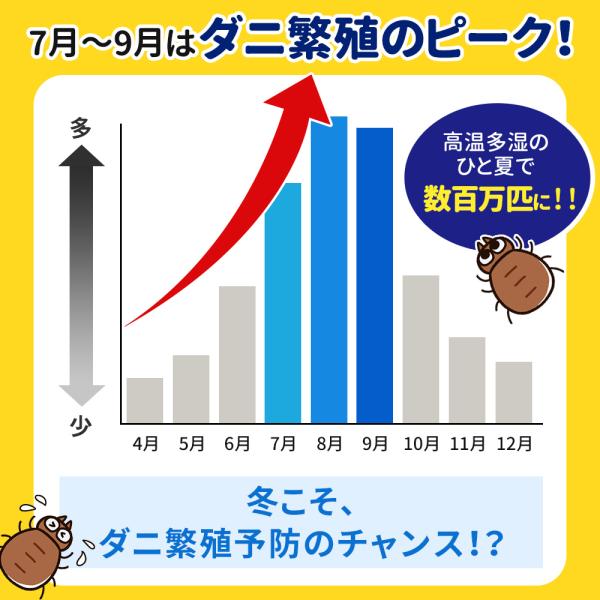 tutuyo_cmpdani_3_d_20250902153718