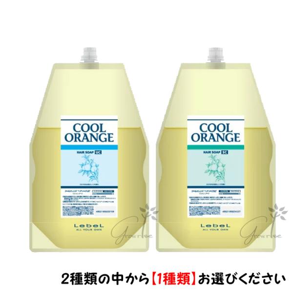 プレミアムハーデン オレンジ シャンプー ヘアパック ポンプ