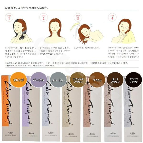 ホーユー Hoyu アシュレーカラートリートメント 230gブラシ付き カラーリング ヘアカラー トリートメント プロ用美容室専門店 Buyee Buyee Japanese Proxy Service Buy From Japan Bot Online