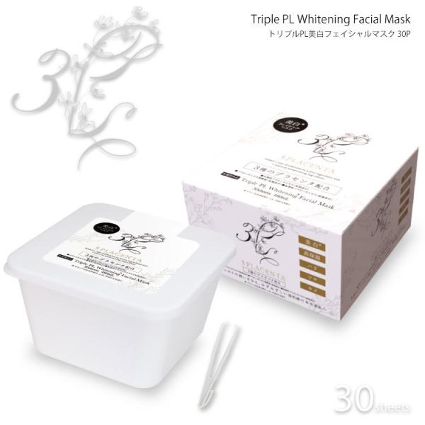 gvPLtFCV}XN30 gvvZ^tFCV}XN 򕔊Oi vpeX