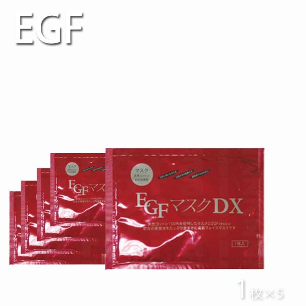 Ɩp EGF}XNcwT WpMY 1×5 5 |Xg  vpeX