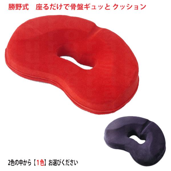 姿勢矯正 クッション スポーツの人気商品 通販 価格比較 価格 Com