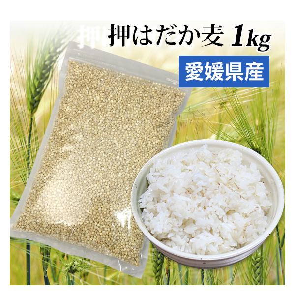 もち麦 国産 1kg - 食品の人気商品・通販・価格比較 - 価格.com