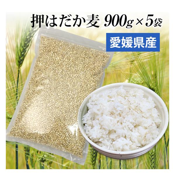 国産 大麦 押はだか麦 1kg もち麦と同じ はだか麦のうるち性 100% βグルカン豊富 ポイント消化 ギフトにも