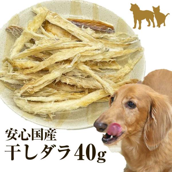 5/28までP最大12倍 国産 無添加 ほぐしタラ 40g 犬用 犬 おやつ タラ ほしだら ペット 猫用 猫 低カロリー 干し 鱈 たら ドッグフード 高タンパク 低脂質