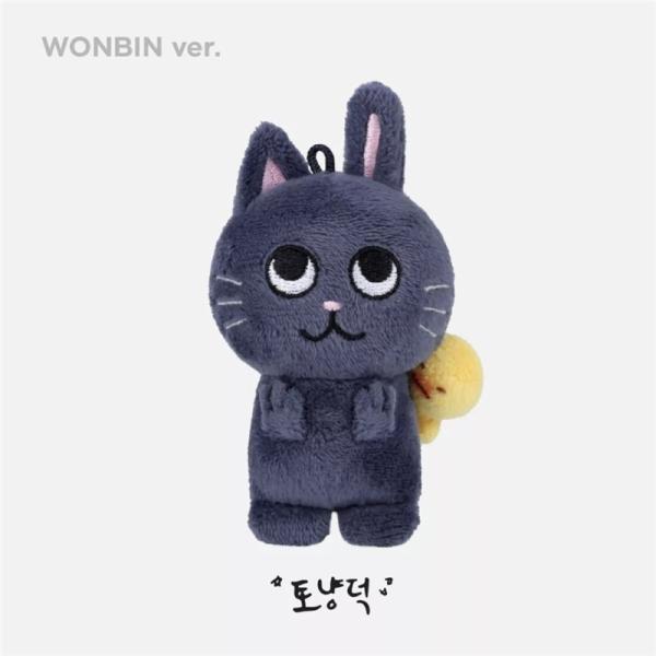 RIIZEグッズ キーホルダー ぬいぐるみ ライズ グッズ おもちゃ