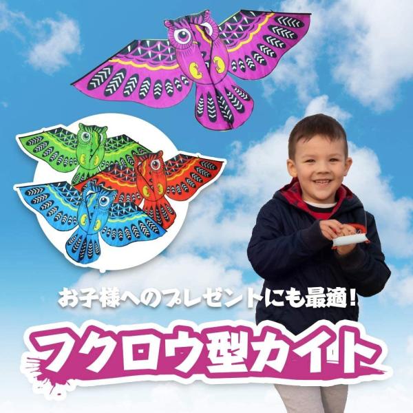 カラフルなフクロウをモチーフにしたカイトです。横幅（約）1.4mのサイズでカラフルなデザインはまるで、可愛いフクロウが飛び回っているかの様。公園や広場で注目を浴びること間違いなしです。角凧より風の力を使わずに少しの風でも高く上げる事ができる...