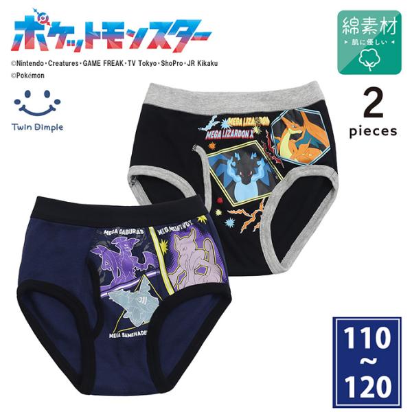 子供下着 パンツ キッズ 男の子 ポケモンブリーフパンツ 2枚組 110/120 (A5910S)【梱包サイズ５】 爆買