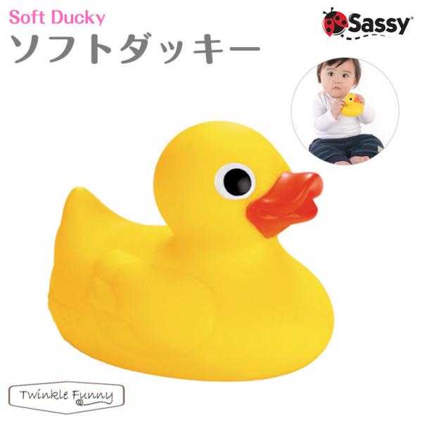 Sassy TbV[ \tg_bL[ o[_bL[ Ђ yΏ۔N߁F0`z