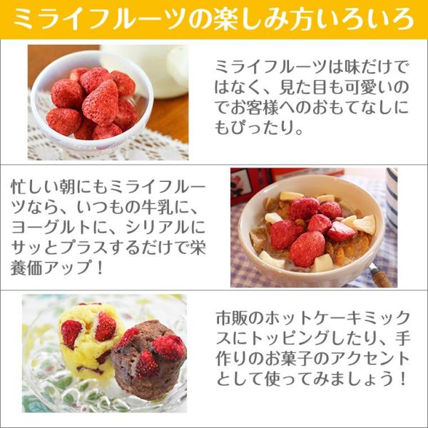 フリーズ ドライフルーツ 砂糖不使用 無添加 ミライフルーツ バナナ 赤ちゃん おやつ Buyee Buyee Japanese Proxy Service Buy From Japan Bot Online