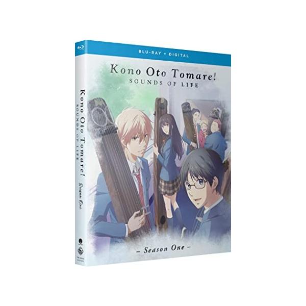 この音とまれ！ 第1期 全13話BOXセット ブルーレイ Blu-ray : two-r 