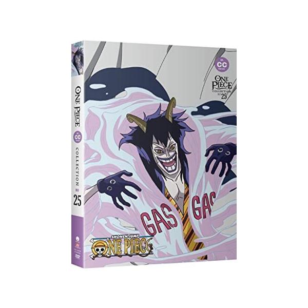 ONE PIECE ワンピース パート25 588-614話BOXセット DVD : ツーアール