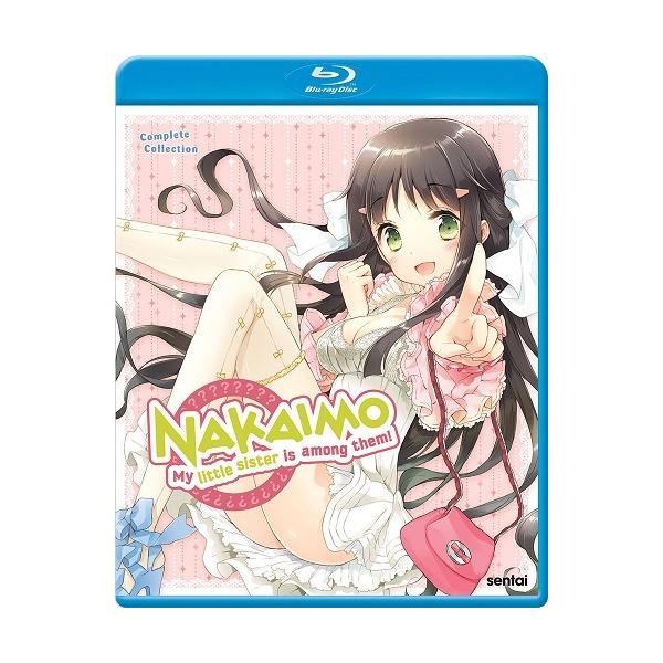 この中に1人、妹がいる! 全13話BOXセット 新盤 ブルーレイ Blu-ray