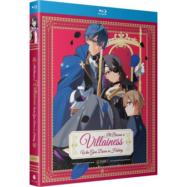 歴史に残る悪女になるぞ 全13話セット ブルーレイ Blu-ray 北米版