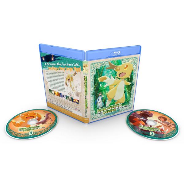 転生したらドラゴンの卵だった 全12話セット ブルーレイ Blu-ray 北米版